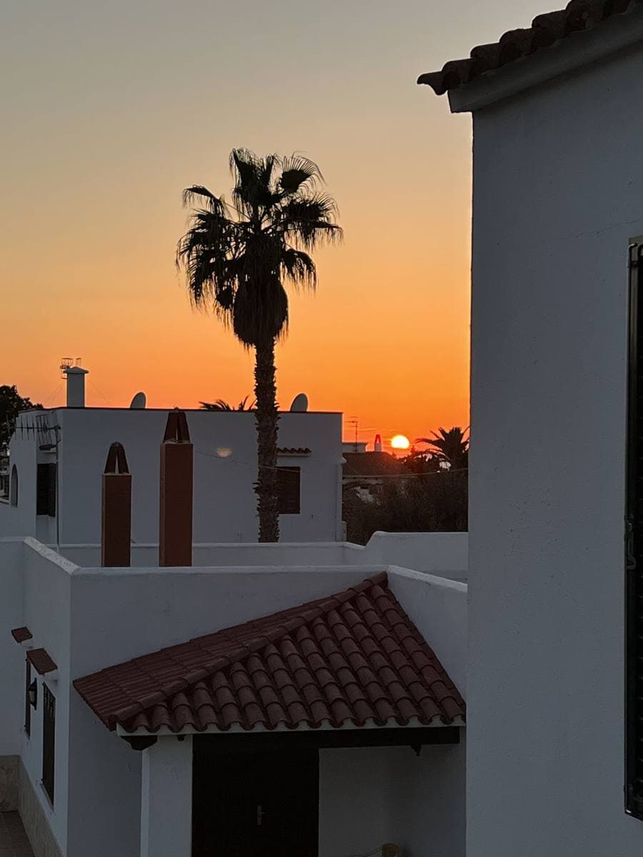 Lulu Menorca — photo 12